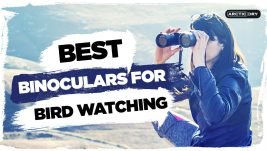 best-binoculars-for-bird-watching-uk